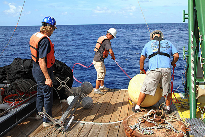 Rinsing a net to concentrate the organisms captured in the light trap for identification.