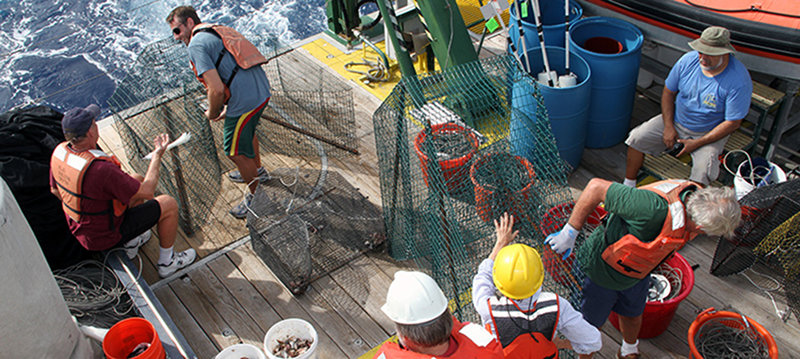 Setting the fish traps from the stern of the R/V Walton Smith.