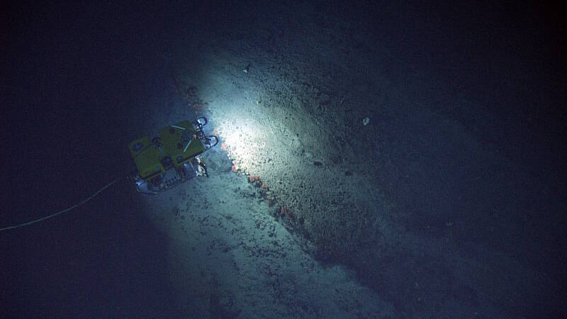 ROV Hercules investigates an outcrop with coral growing under the ledge.