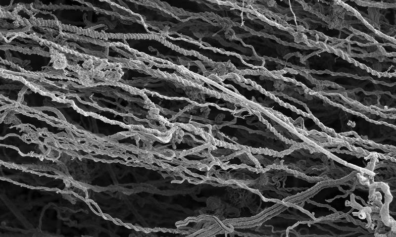 Scanning electron micrograph of a microbial iron mat.