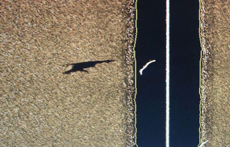 This is a beautiful sidescan image of a large hammerhead shark swimming under our research vessel.