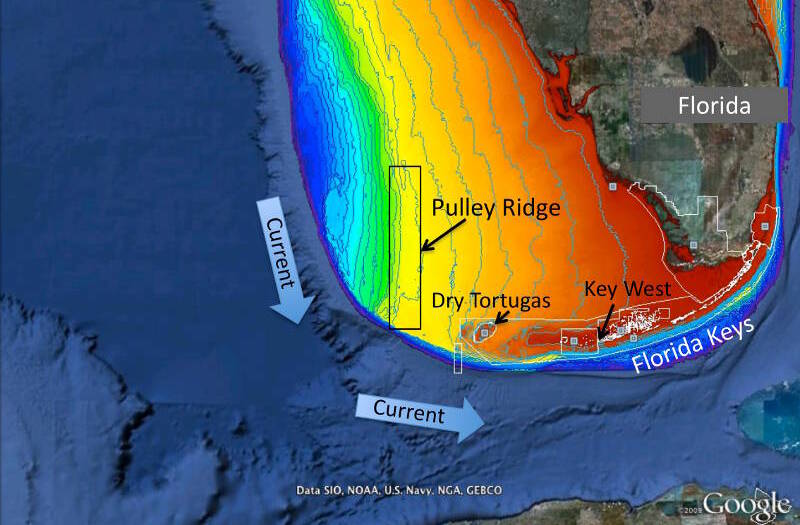 View the education lessons and associated resources prepared for the 2013 Pulley Ridge expedition.