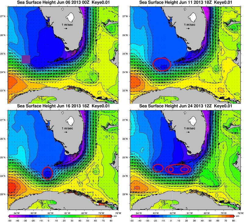 Sea surface height and surface currents calculated from FKEYS-HYCOM model for dates in June 2013.