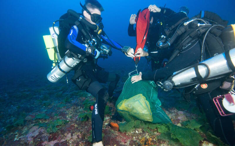 Technical divers Mike Terrell, Milton Carlo, and Evan Tuohy sending up a lift bag with the collected samples.