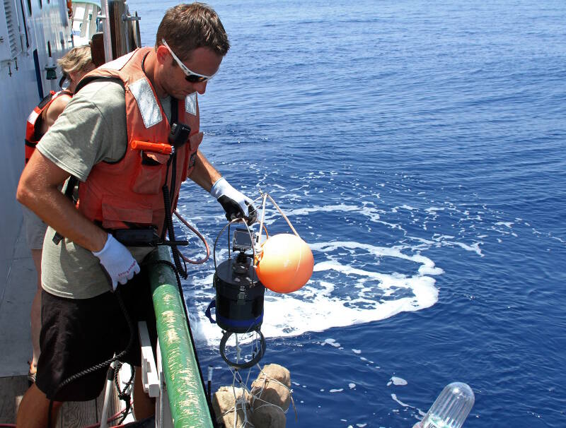 Chris Malinowski prepares to drop one of the weighted Revolution cameras into the depths on Pulley Ridge. The array of five cameras is dropped along an ROV transect to perform spot counts of fish species. Counts using the Revolution can be made at depths deeper than divers typically go.