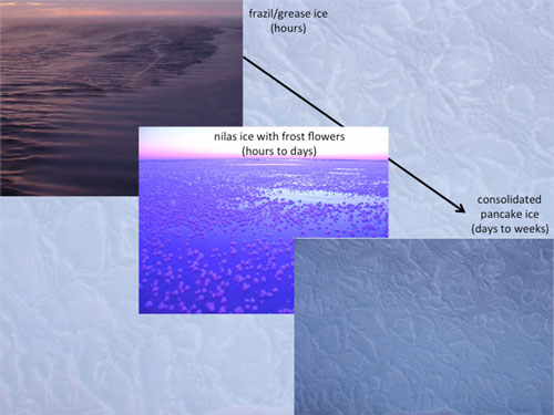 Figure 2: Sea ice growth history.