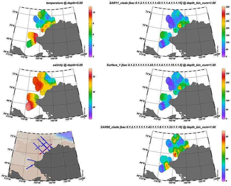 Here you can see a number of bacteria and archaea that appear more abundant in the Alaska Coastal Current, which runs near shore. These organisms were probably up brought from farther south and may include more terrestrial-associated organisms.