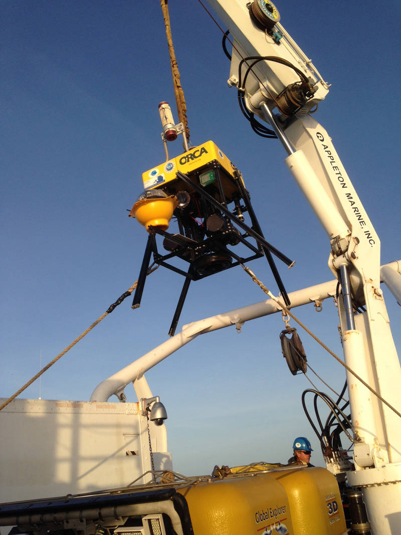 Medusa being lifted onto the ship's deck.