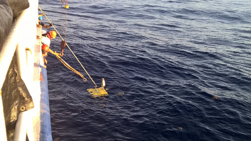 Retrieving the Medusa on the side of the ship. <em>Image courtesy of NOAA Bioluminescence and Vision on the Deep Seafloor 2015.</em>