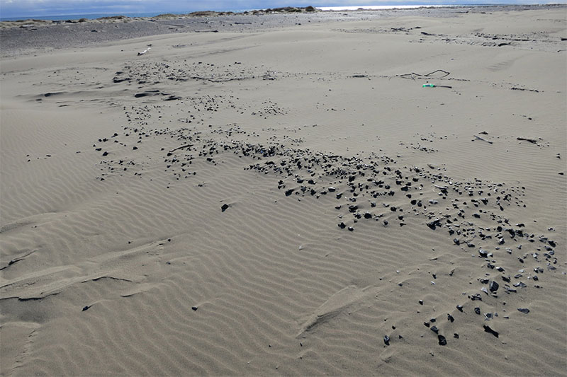 Drift of coal in the dunes.