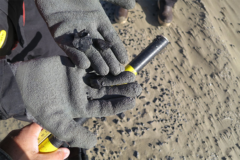 Anthracite coal, on shore in abundance.