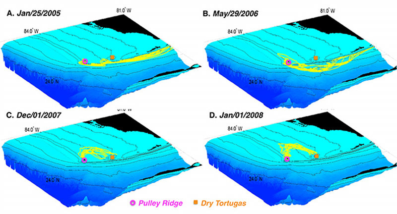 Making Connections: Biophysical Modeling of Coral Reef Populations
