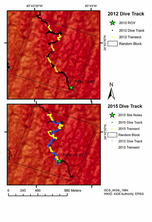 The planned track for our first remotely operated vehicle (ROV) dive was to repeat a 2012 dive transect as closely as possible. The figure demonstrates that both the skipper of the research vessel and ROV pilot Jason White managed to accomplish the task. Today’s track shown at the bottom very closely matches the previous track at top.