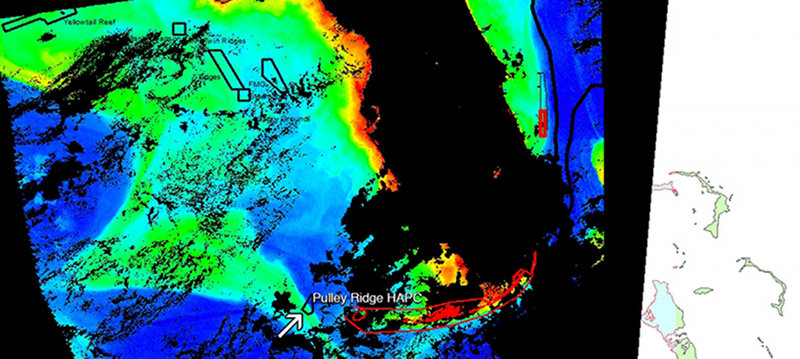 Satellite imagery from NOAA shows a swath of chlorophyll.