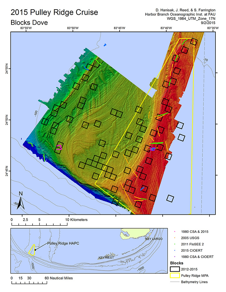 Over four cruises, our Community Structure Team has crisscrossed Pulley Ridge in an effort to better assess its biological resources (corals, fish, sponges, algae). ROV surveys have been conducted in 69 one kilometer by one kilometer blocks.