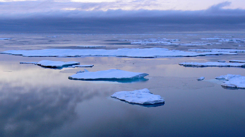 Open water in-between ice, also called meltponds, is a strong indication of low ice cover.