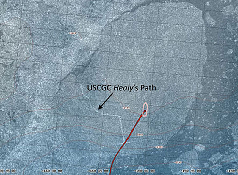 This satellite image shows the path that the USCGC Healy carved through the ice floe. While the GPS image showed our heading going north, the ice floe continued to spin without our knowing, keeping us within its icy grasp.