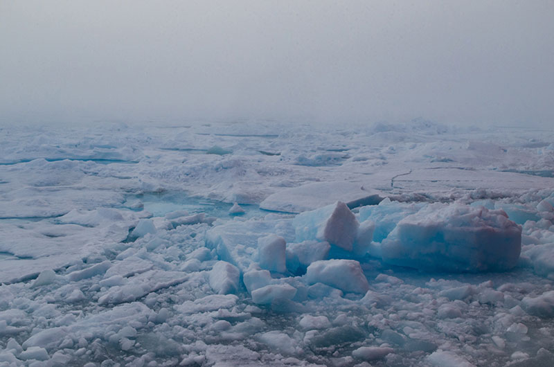 The thick fogs masks the vastness of the ice floe, making it difficult to navigate. 