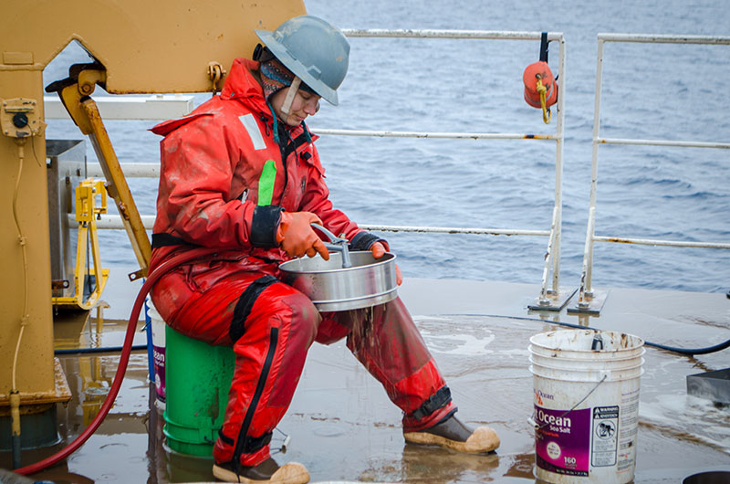 Leah Sloan sieves through the muddy box core sample, separating the sediment from the animals.