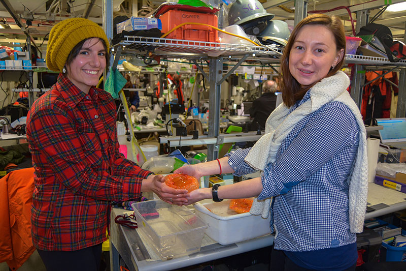 Lauren Sutton and Irina Zhulay hold a large anemone that was collected by the ROV.