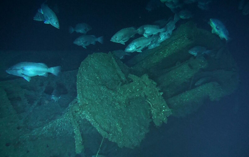 Grouper congregate around the conning tower of the U-576. The structure on the seafloor forms a reef that provides fish with protection and food.