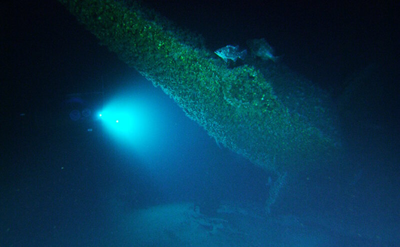Lights from the submersible illuminate several different types of grouper on the stern of the U-576.