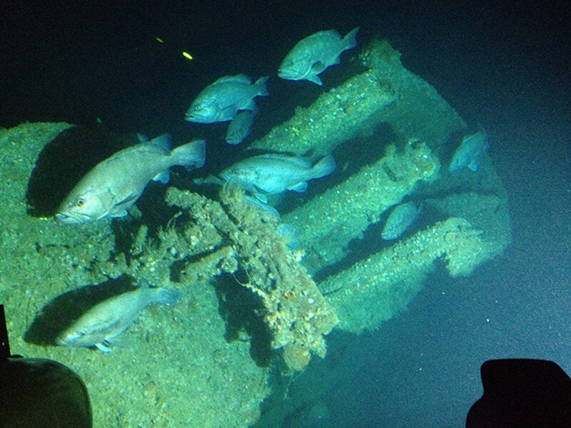Picture taken from inside the submersible of U-576 showing the conning tower and grouper fish.