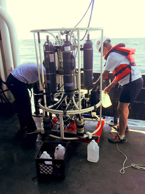 The science team transfers water samples from the CTD rosette into containers. The samples were immediately filtered on the ship and analyses of the samples will provide information about the canyon environment.