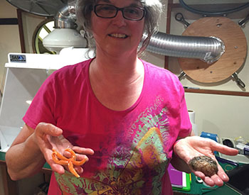 Follow science teacher Mary Cook as she blogs her experience at sea.