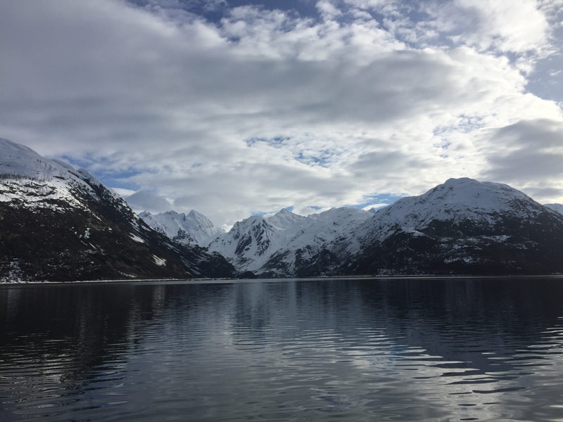 White Thunder Ridge, the site of our ROV and scuba dives investigating red tree corals.