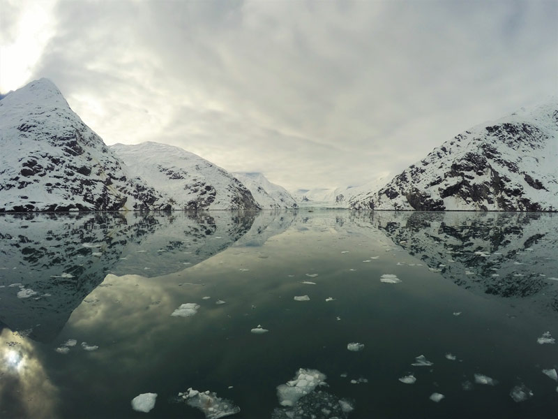 Johns Hopkins Glacier, west arm of Glacier Bay National Park.