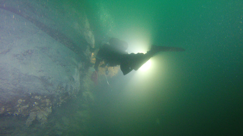 Bob Stone, a NOAA benthic ecologist measuring the size of a red tree coral.