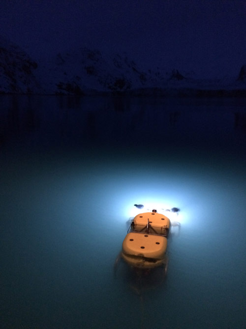 ROV Kraken2 just prior to descent. The Kraken2 was used to give scientists access to the deepest parts of Glacier Bay National Park; without it, we wouldn't have been able to see the abundance of large corals and other associated fauna that reside in the deep waters.