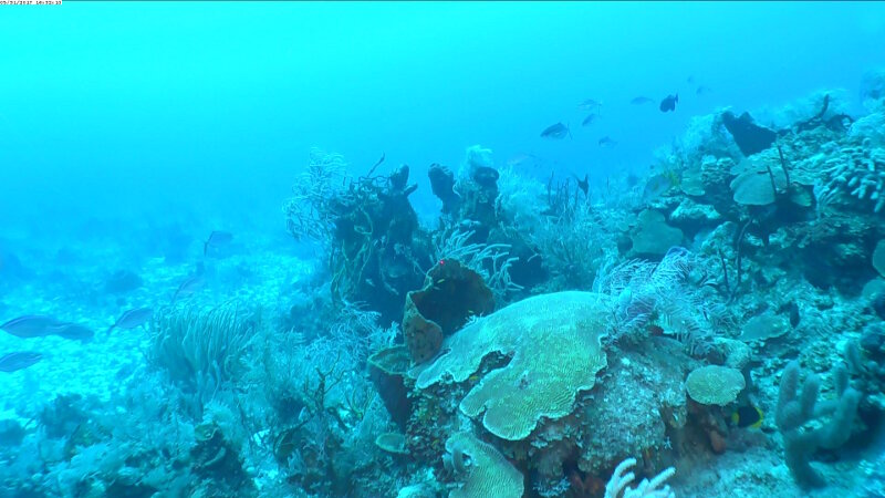 June 5: Southern Coast of Cuba