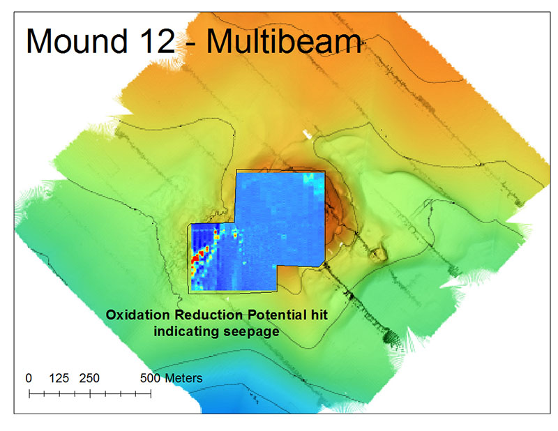 Data collected from the oxidation-reduction probe (ORP sensor) illustrates reducing environments (red) located around the mussel bed. These areas often correspond to low oxygen conditions around active seepage. Data collected from these sensors, combined with the high-resolution maps (see above) and imagery, help us understand the spatial extent of seep communities and their associated environmental conditions.