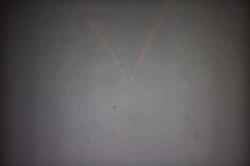 A photo from Dive 454 shows the most common deep-sea habitat: soft sediment.