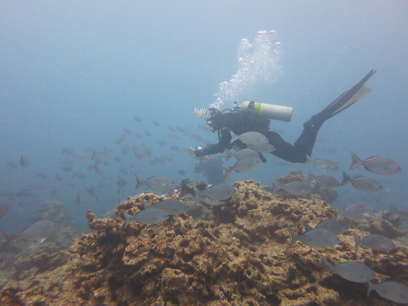 Diver Brian Hauk doing science despite the cold.