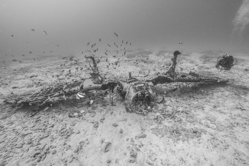 A National Park Service diver swims around the upside down wings of an World War II era F4U Corsair lost at Midway Atoll.
