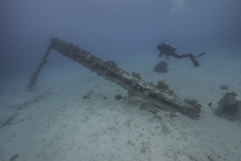Underwater debris like this is scattered throughout the lagoon at Midway, reminding divers of the human history that has affected this place.