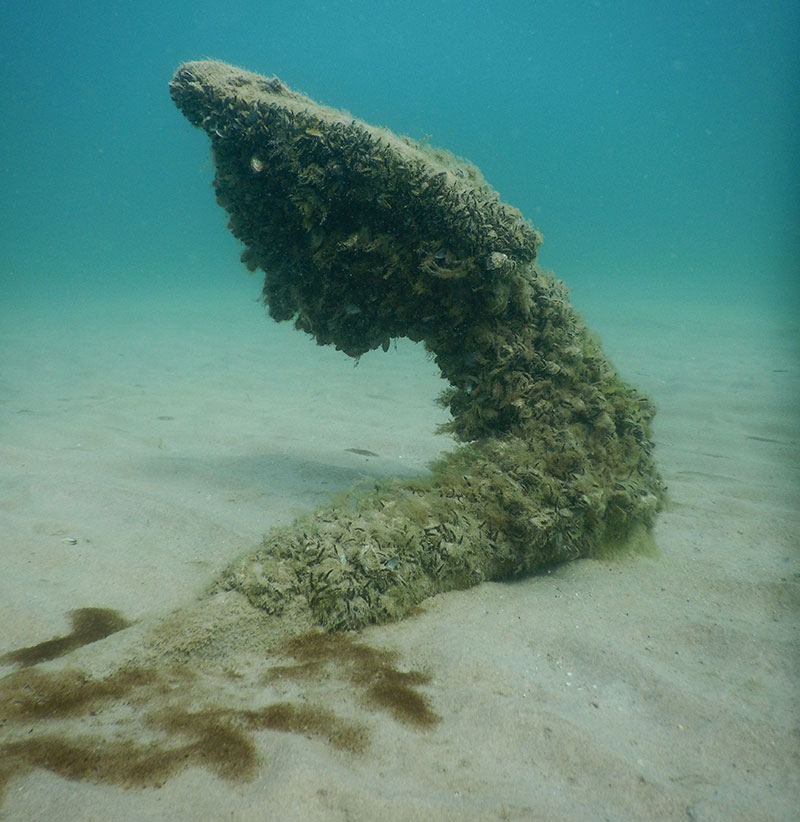With several hundred shipwrecks still unaccounted for in the Great Lakes, it was not surprising to find historic wreckage. A 19th-century wooden stock anchor remains set in the lake bottom (Photo by Wayne Lusardi).
