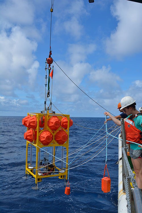 The Microprofiler lander AKA Yellow Tang at its first deployment.