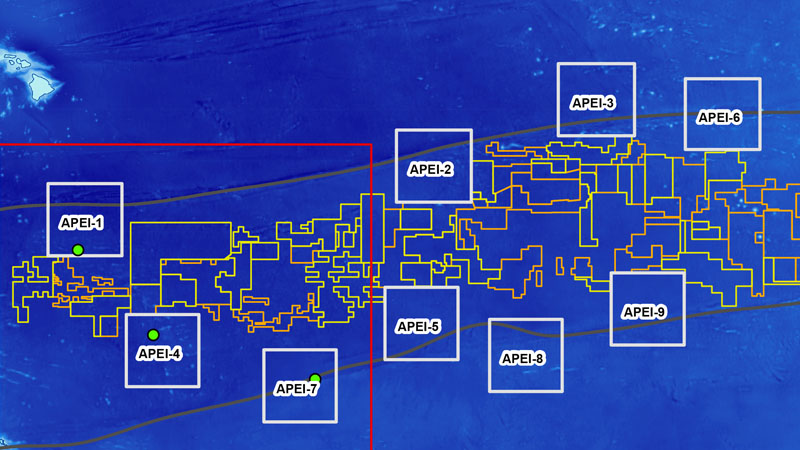 Map of the abyssal Pacific seafloor targeted for seafloor nodule mining showing the areas where mining contactors will work and areas protected from mining (APEIs). This project studied three protected areas in the west of the Clarion Clipperton Zone Map of the abyssal Pacific seafloor targeted for seafloor nodule mining showing the areas where mining contactors will work and areas protected from mining (APEIs). This project studied three protected areas in the west of the Clarion Clipperton Zone