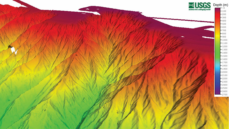 Three-dimensional view of Keller Canyon with depths ranging from 200 to 1,600 meters. The main canyon channel carves into the continental shelf (dark red). This complex canyon has many tributary canyons.