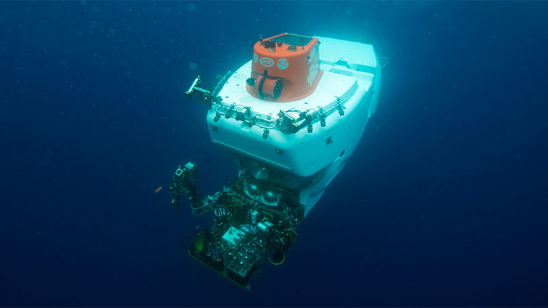Alvin, which is operated by Woods Hole Oceanographic Institution (WHOI), has been in operation since 1964. The human occupied vehicle is capable of reaching depths of 4,500 meters, carrying two scientists and one pilot for each dive.