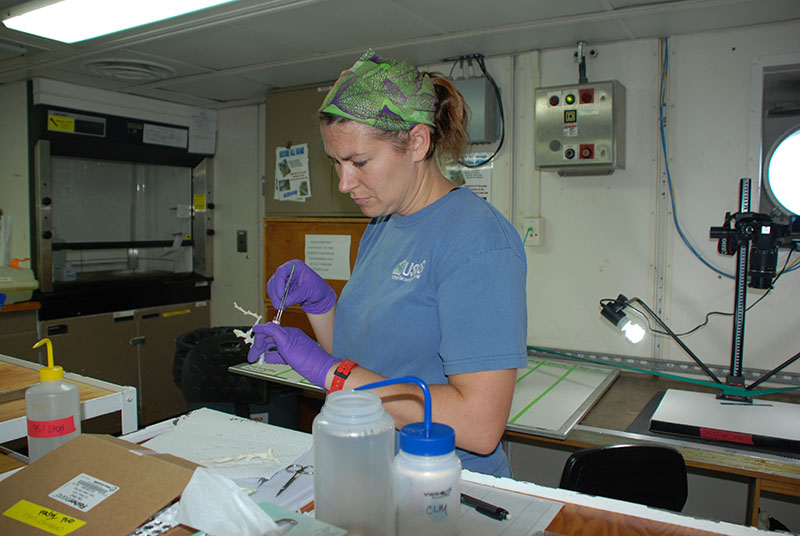 Demopoulos lab manager Jennie McClain-Counts samples a piece of Lophelia for future chemical analysis in order to help characterize deep-sea coral food webs. Image courtesy of DEEP SEARCH 2018 - BOEM, USGS, NOAA.