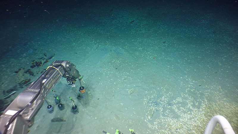 Alvin takes a set of pushcores on the seafloor at Blake Ridge seep.