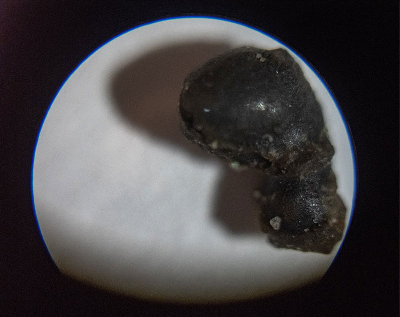 Dr. Marc Fries conducted an initial visual analysis of the samples collected, and his preliminary findings include two small fragments of fusion crust--meteorite exterior that melted and flowed like glaze on pottery as it entered the atmosphere. This image of one of those fragments was captured through a DIY microscopy rig made of a DSLR camera and a Magiscope field microscope.
