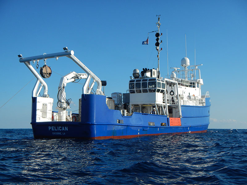 The R/V <em>Pelican</em>, owned and operated by the Louisiana Universities Marine Consortium, is one of two vessels that we will be using this field season.