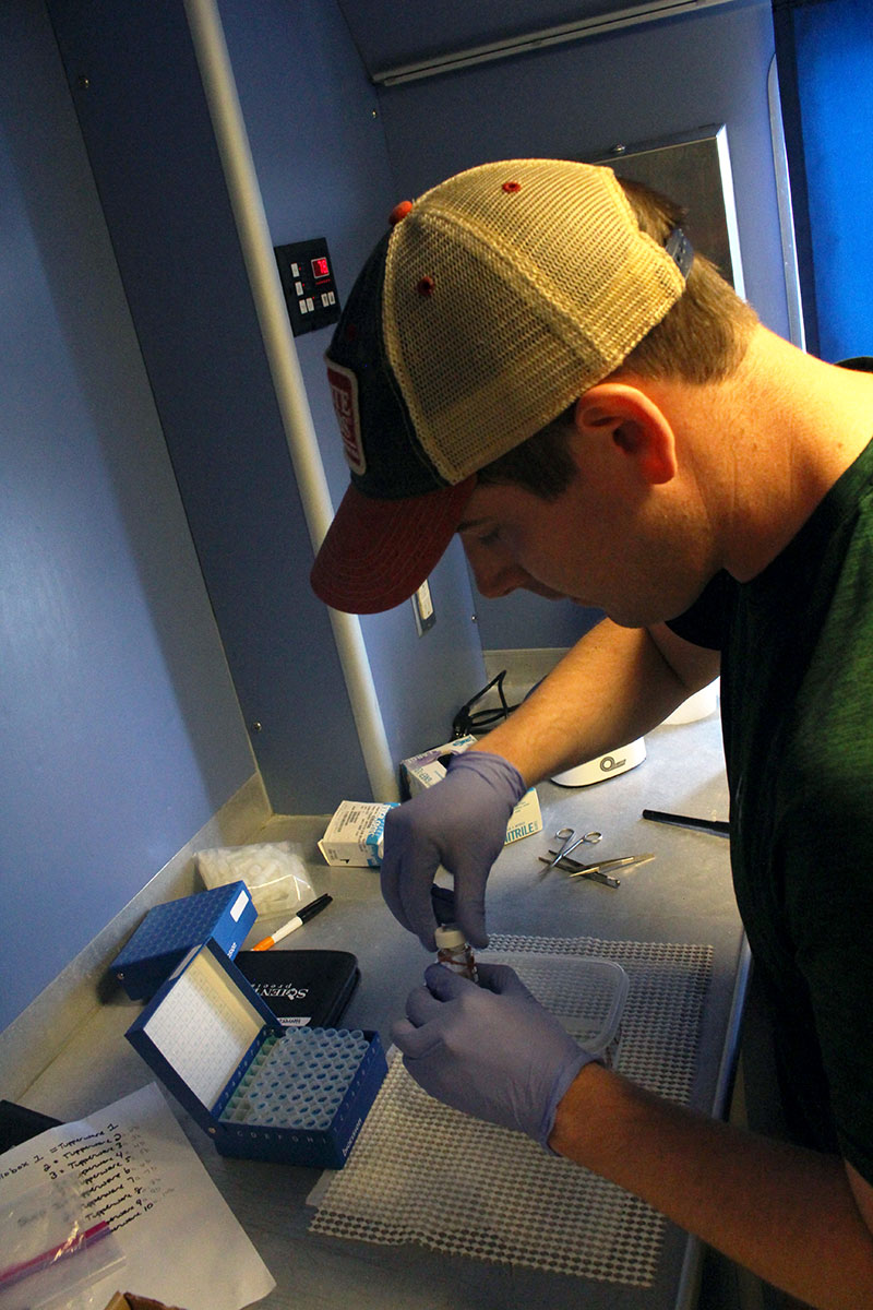 Lehigh University postdoctoral researcher, Matt Galaska, preserving coral tissue. Image courtesy of Emma Saso.