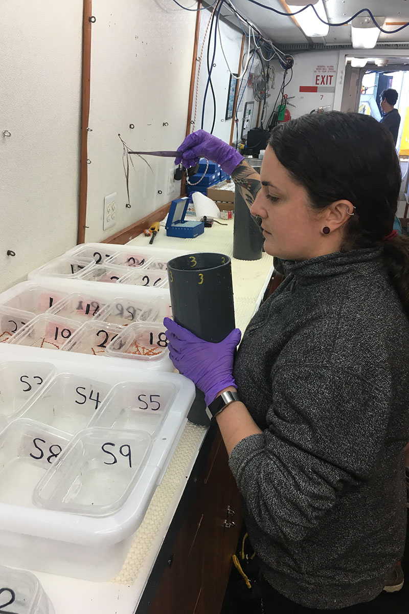 NOAA contractor Janessy Frometa processes mesophotic coral samples collected at Diaphus Bank at 90-100 meters depth. Samples were collected aboard the R/V Pelican using the Global Explorer ROV. This is the first cruise of the five-year study 